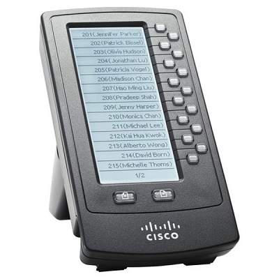 Cisco SPA500DS